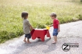 Eames Elephant 2 Zucchi Arredamenti